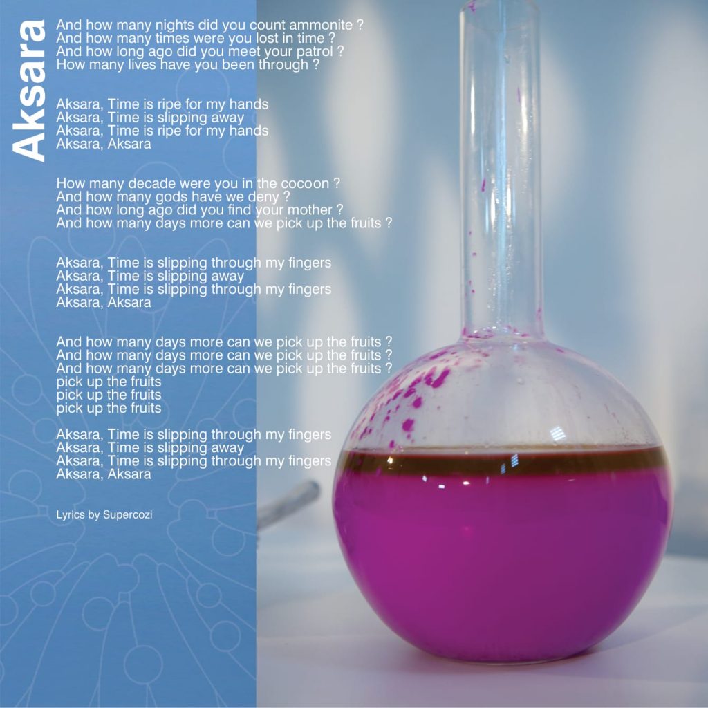 Supercozi-fruits-from-the-future-Booklet-Page3