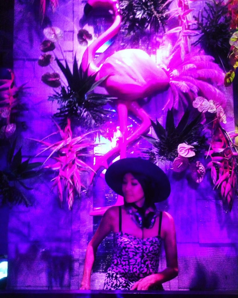 Kudeta - New Year Disco Flamingo 2016 count down party