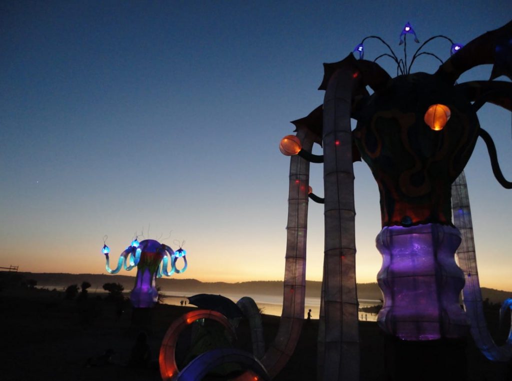 The Boom Festival 2010 ( Portugal )