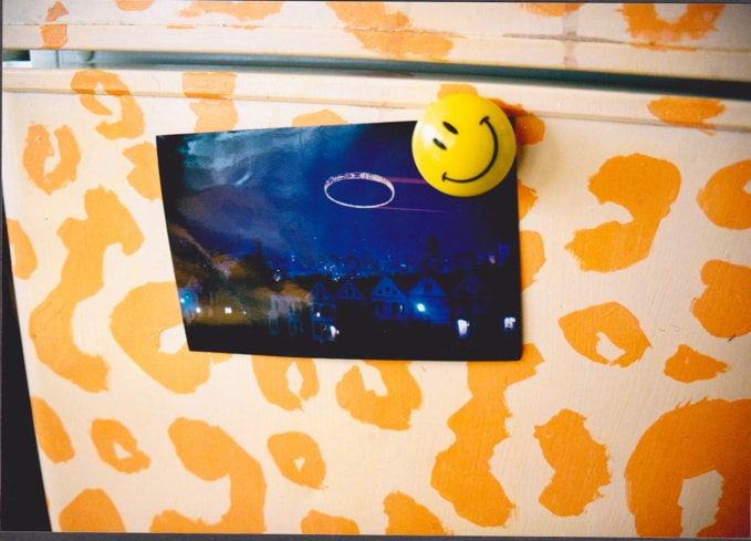 Orange-leopard-fridge-Supercozi