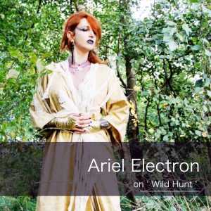 Ariel Electron on Wild Hunt-SUPERCOZI-Bass Odyssey